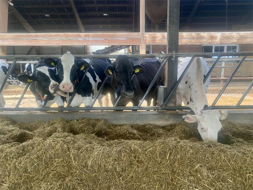 Landwirtschaftlicher Innovationsbetrieb in Lackendorf