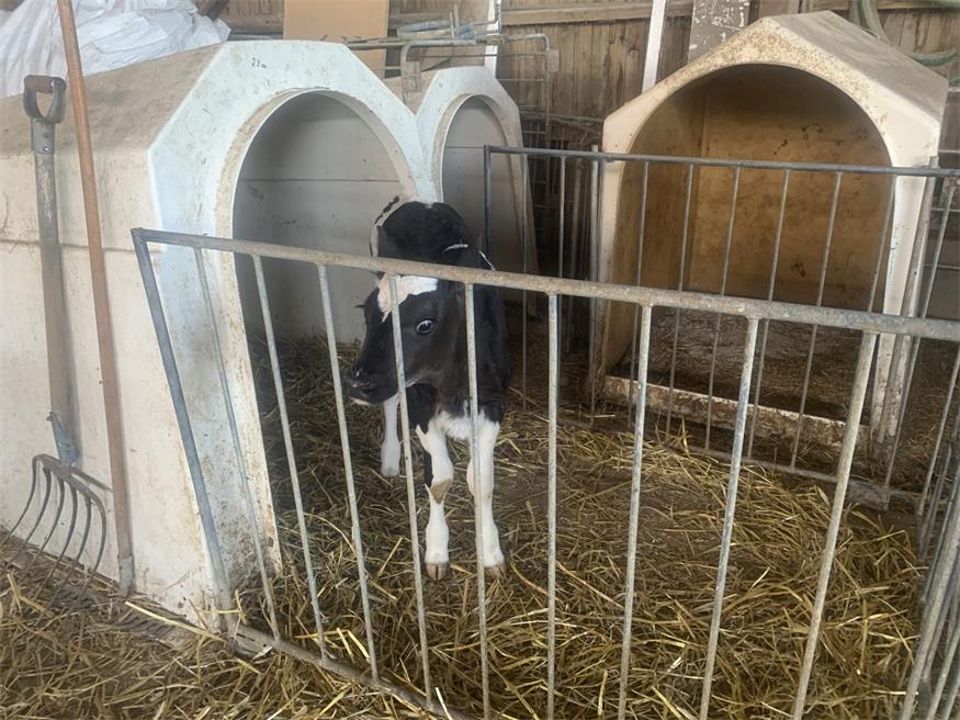 Landwirtschaftlicher Innovationsbetrieb in Lackendorf
