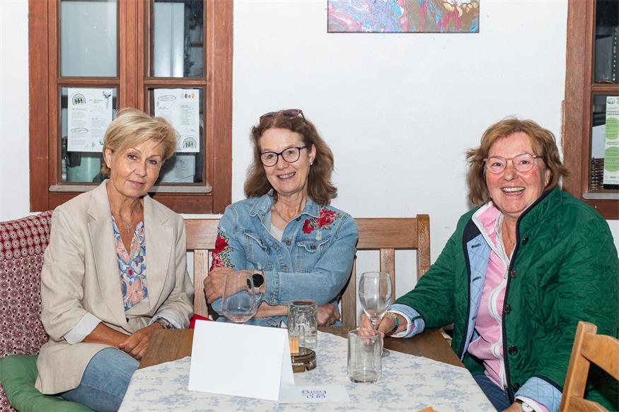 Sommerkino mit Golser „Rückenwind“ in Mönchhof