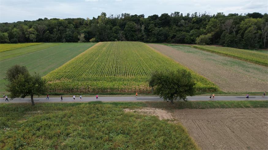 Sonnentherme: Neuer Teilnehmerrekord beim Family Run in Lutzmannsburg