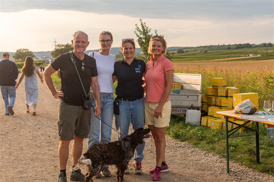 Neusiedl am See: Frischer Sturm inmitten der ältesten Weinriede