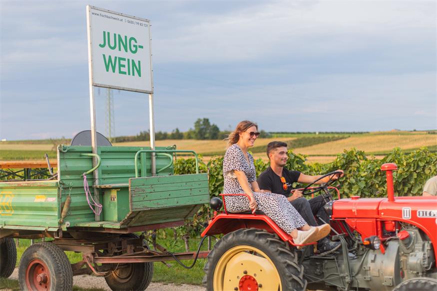 Neusiedl am See: Frischer Sturm inmitten der ältesten Weinriede