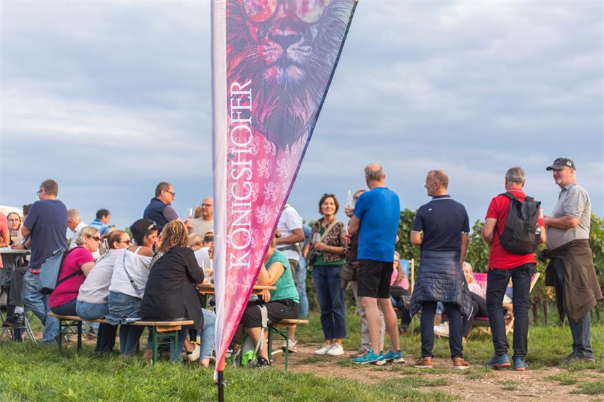 Neusiedl am See: Frischer Sturm inmitten der ältesten Weinriede
