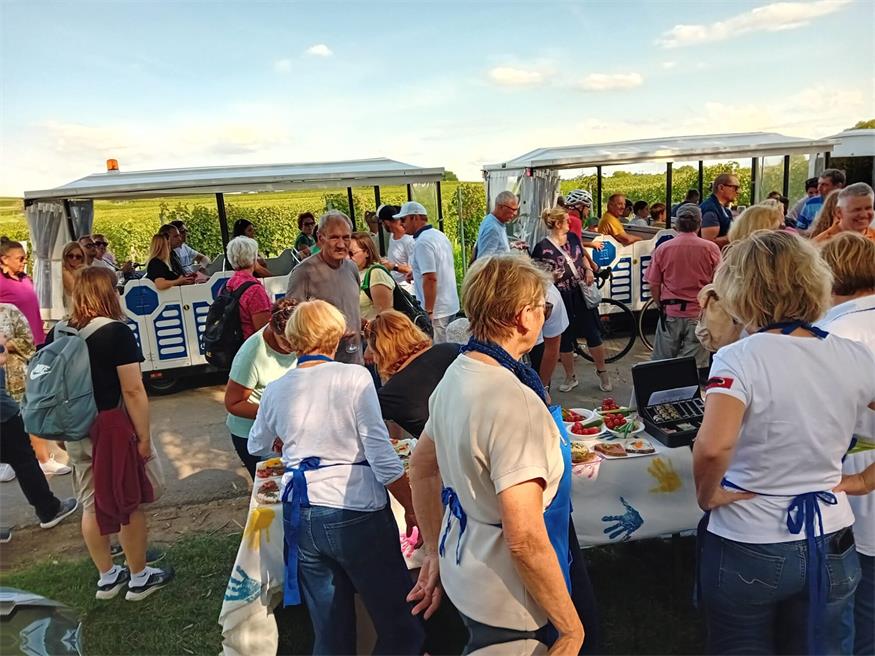 Neusiedl am See: Frischer Sturm inmitten der ältesten Weinriede
