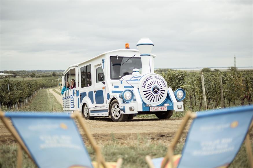 Tipp: Sturmwanderung verbindet Wein, Natur und Kulinarik