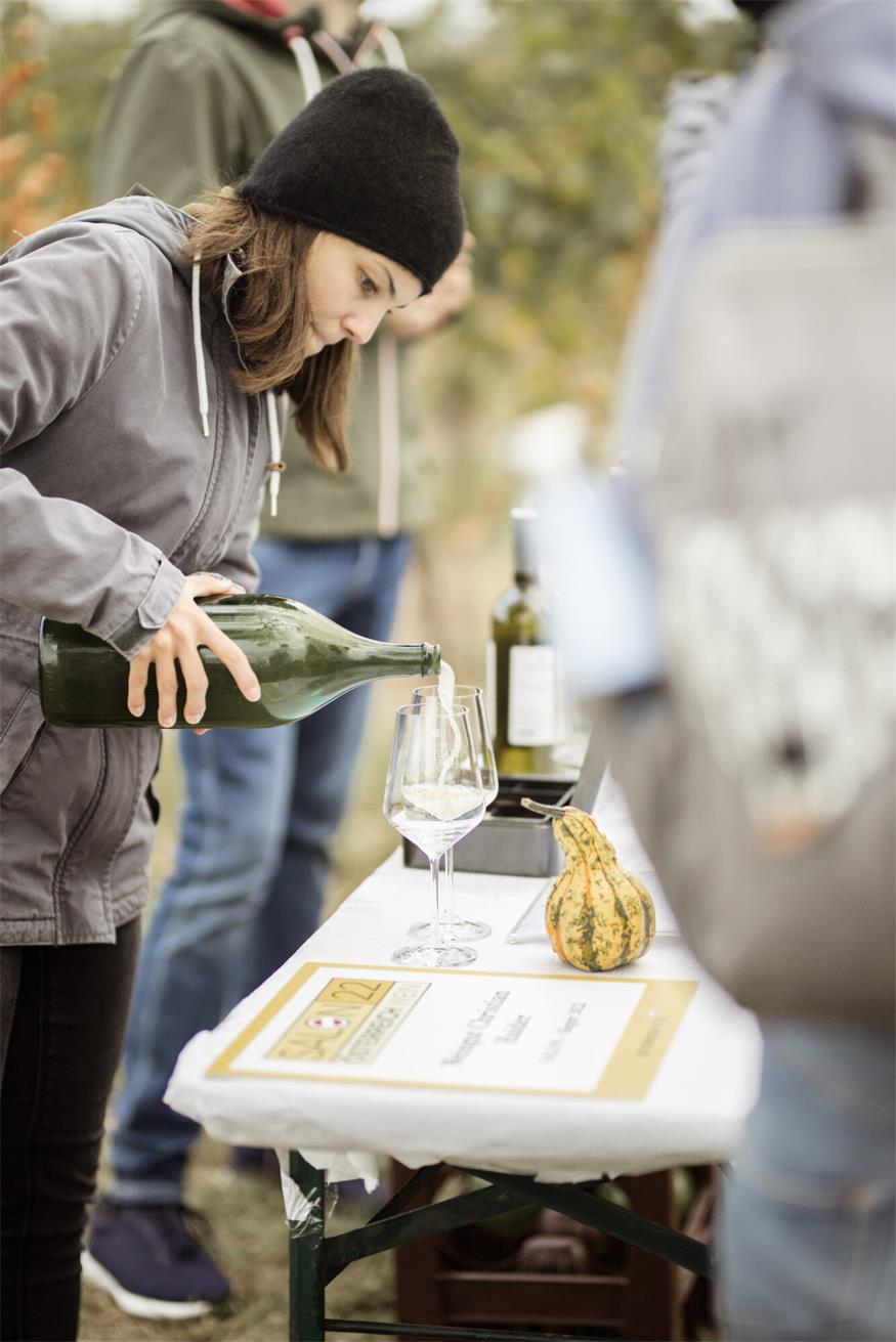Tipp: Sturmwanderung verbindet Wein, Natur und Kulinarik