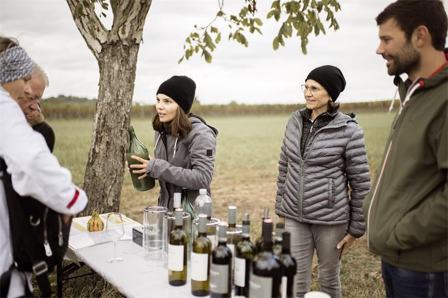Tipp: Sturmwanderung verbindet Wein, Natur und Kulinarik