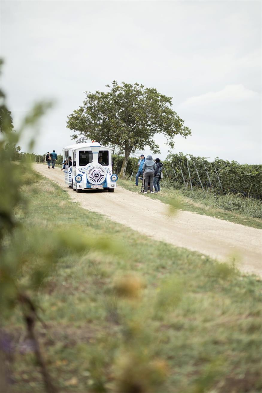 Tipp: Sturmwanderung verbindet Wein, Natur und Kulinarik