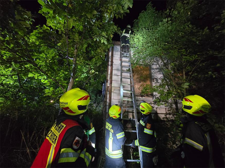 Feuerwehr Neusiedl: Zweite Tierrettung in 24 Stunden