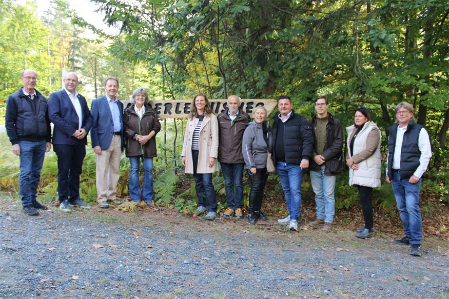 Kugelbahn bis Tierweitsprung: Erlebnisreiche Waldrunde in Lockenhaus
