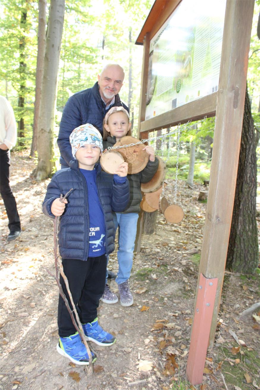 Kugelbahn bis Tierweitsprung: Erlebnisreiche Waldrunde in Lockenhaus