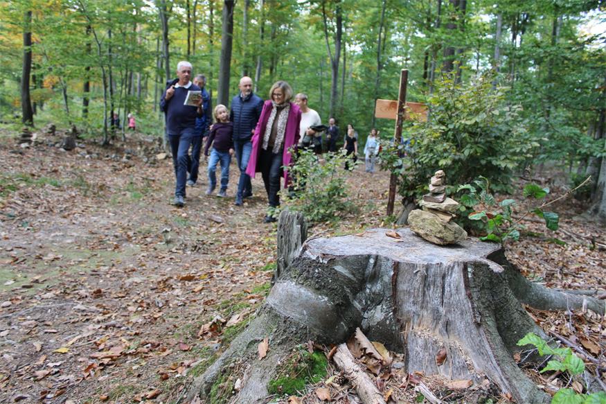 Kugelbahn bis Tierweitsprung: Erlebnisreiche Waldrunde in Lockenhaus