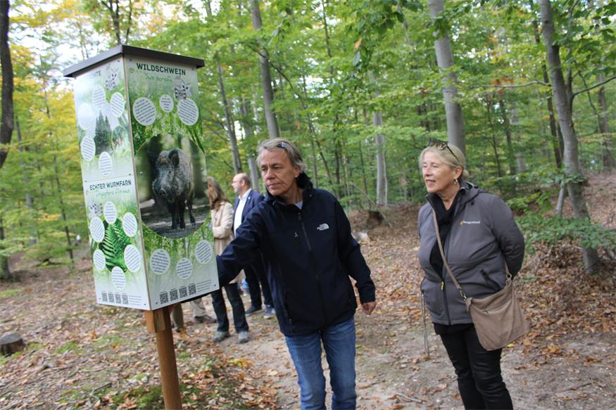 Kugelbahn bis Tierweitsprung: Erlebnisreiche Waldrunde in Lockenhaus