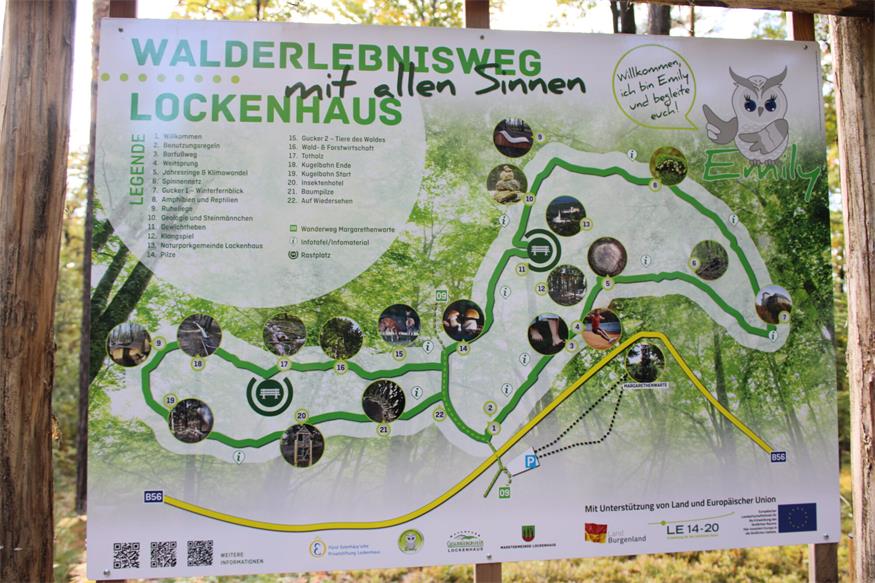 Kugelbahn bis Tierweitsprung: Erlebnisreiche Waldrunde in Lockenhaus
