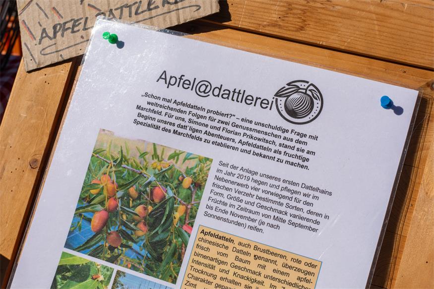 Nachhaltig und schmackhaft: Schmecktakel in Parndorf
