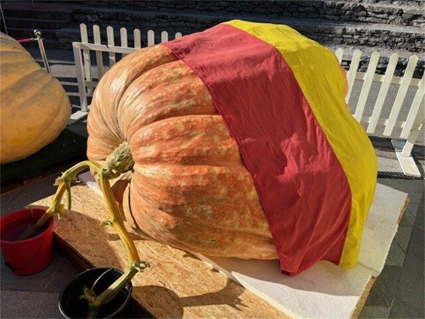 Golser Züchter stellt Rekord auf: Kürbis mit fast einer Tonne Gewicht