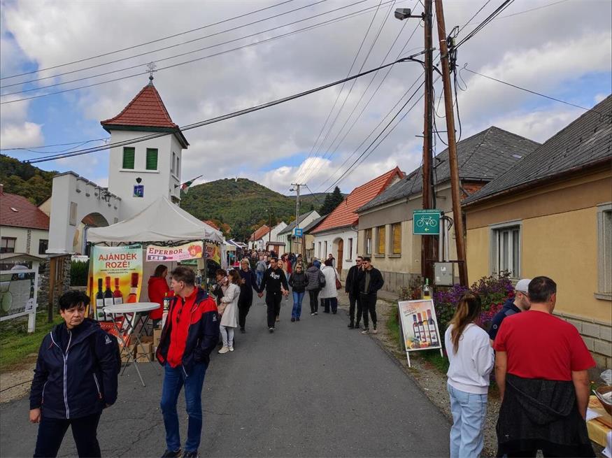 FF Sieggraben bei Kastanienfest in Ungarn