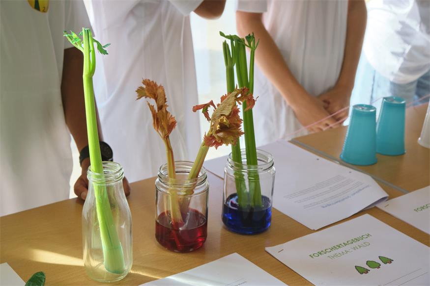 MINT-Vormittag an der Mittelschule Zurndorf