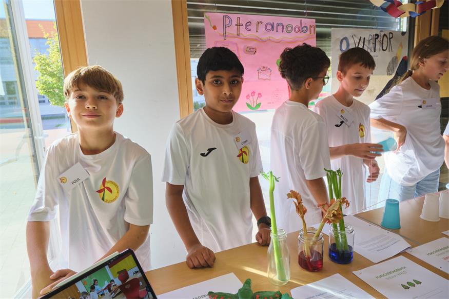 MINT-Vormittag an der Mittelschule Zurndorf