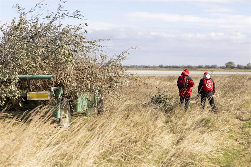 Coca-Cola-Team half im Seewinkel beim Schutz der Artenvielfalt