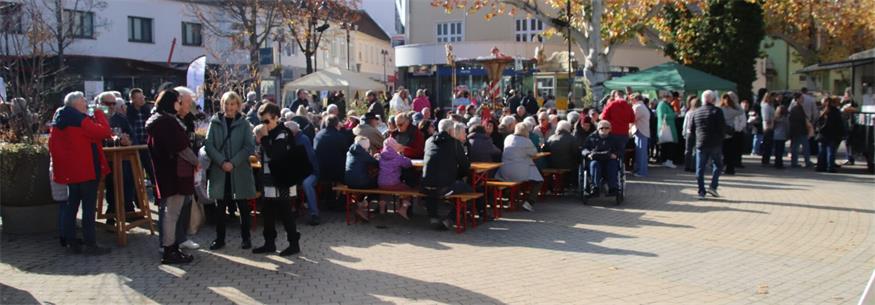 Martinimarkt am Mattersburger Veranstaltungsplatz