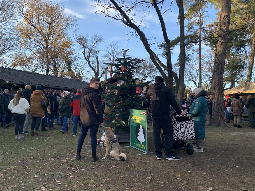 Adventzauber mit der Pfadfindergilde Oberpullendorf