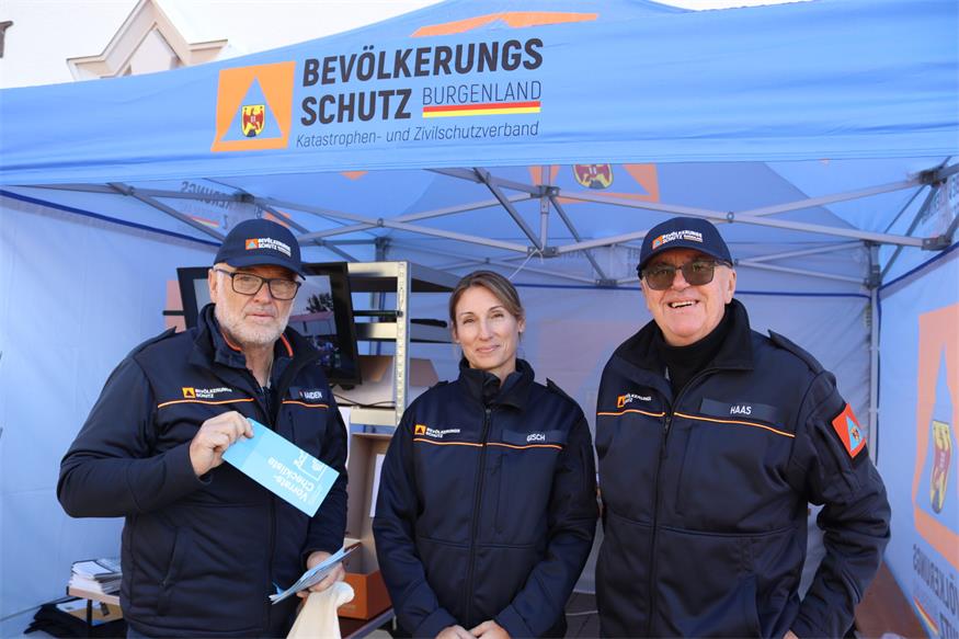Martinikirtag in Markt St. Martin