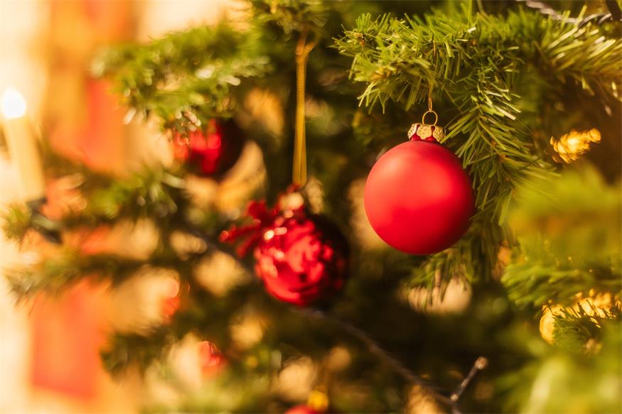 Die TonTauben zwitscherten von „Winter Wonderland“ bis „Drummer Boy“