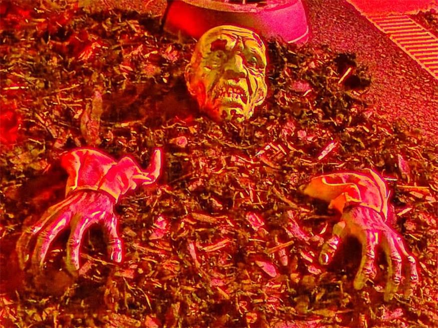 Schaurig: Das Halloween-Horrorhaus ist einen Besuch wert