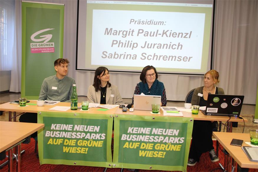 Grüne gehen mit verstärktem Team ins Wahljahr