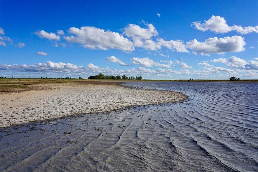 Grundwasser: Start für Rettung der Salzgebiete im Seewinkel