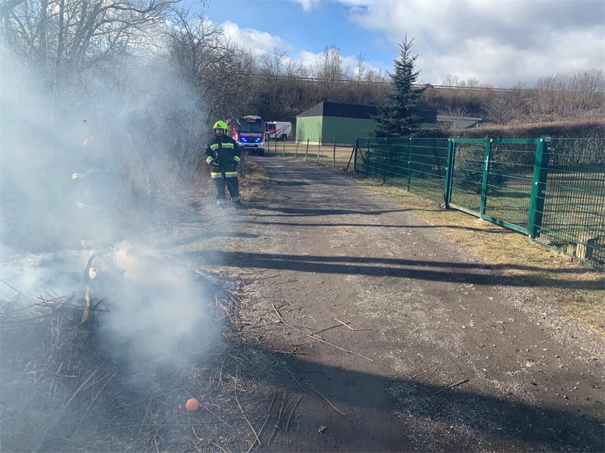 Grünschnitt brannte: FF Mattersburg im Einsatz