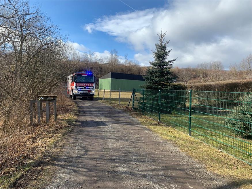 Grünschnitt brannte: FF Mattersburg im Einsatz