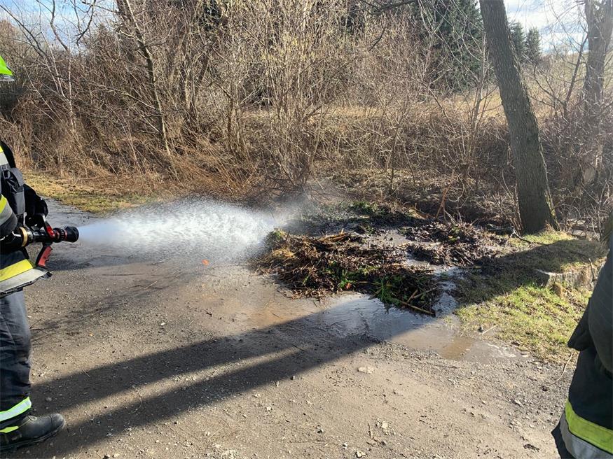 Grünschnitt brannte: FF Mattersburg im Einsatz