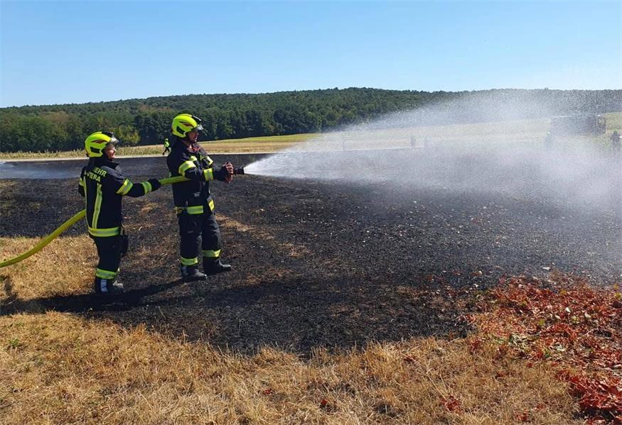 Flurbrände bei Zemendorf und Stöttera