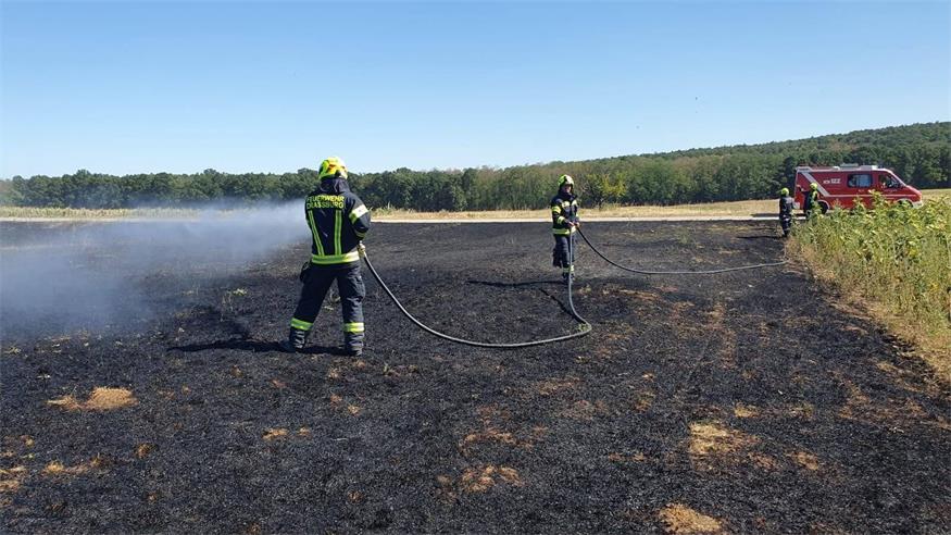 Flurbrände bei Zemendorf und Stöttera