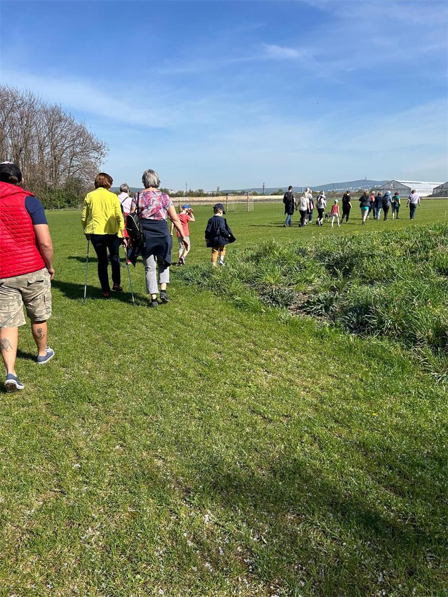 Kittsee lud zum Marillenwandertag