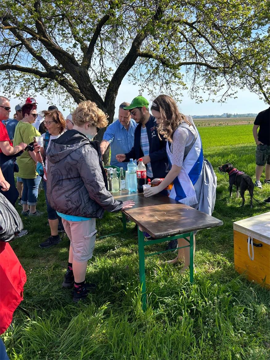 Kittsee lud zum Marillenwandertag