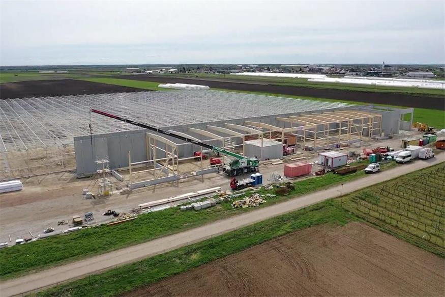 St. Andrä: Bio-Gemüsewelt Seewinkel im Werden
