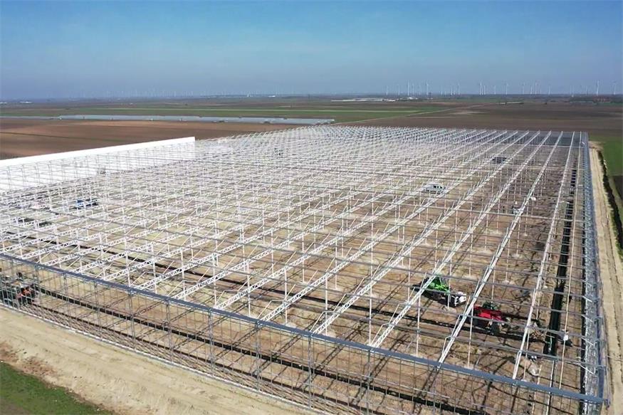 St. Andrä: Bio-Gemüsewelt Seewinkel im Werden