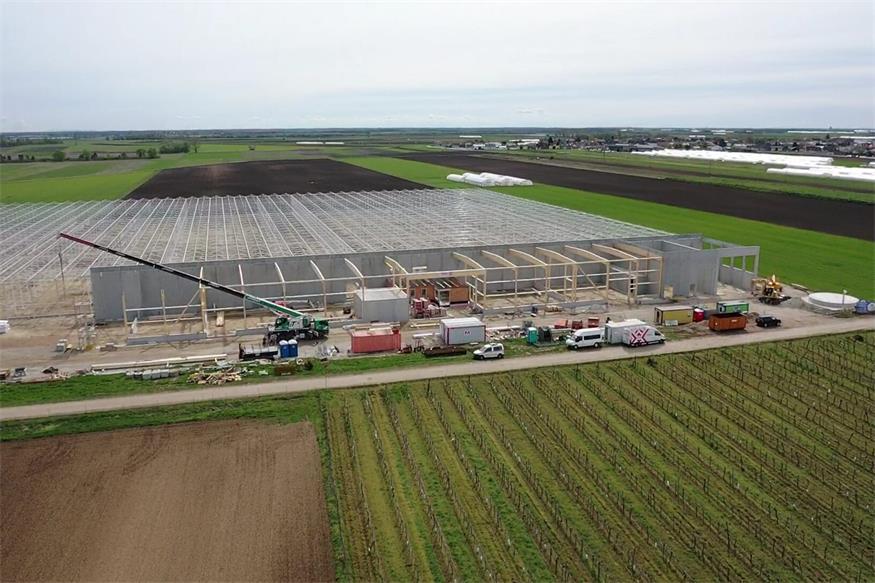 St. Andrä: Bio-Gemüsewelt Seewinkel im Werden