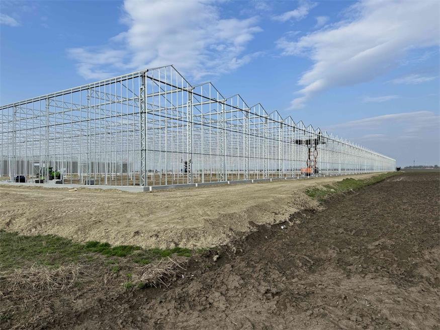 St. Andrä: Bio-Gemüsewelt Seewinkel im Werden