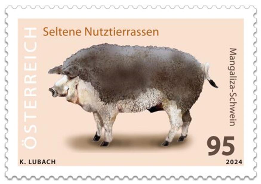 „Schweinisches“ Motiv auf Briefmarke präsentiert