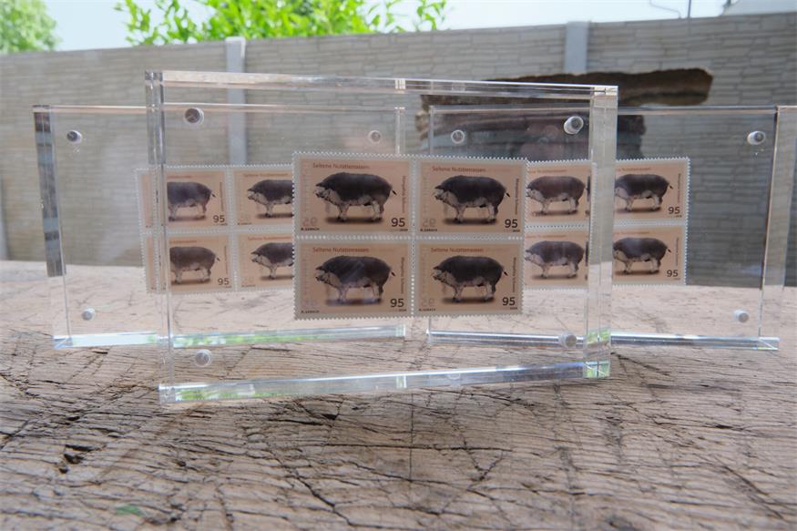 „Schweinisches“ Motiv auf Briefmarke präsentiert