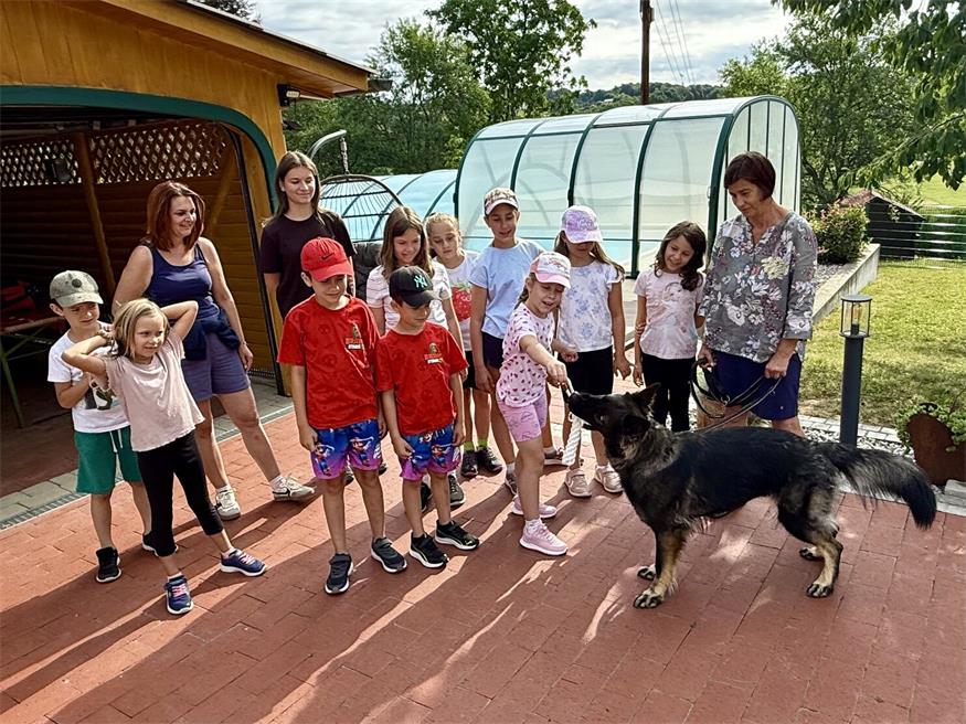 Poolparty beim Bürgermeister: Ferienkinder zu Gast in Olbendorf