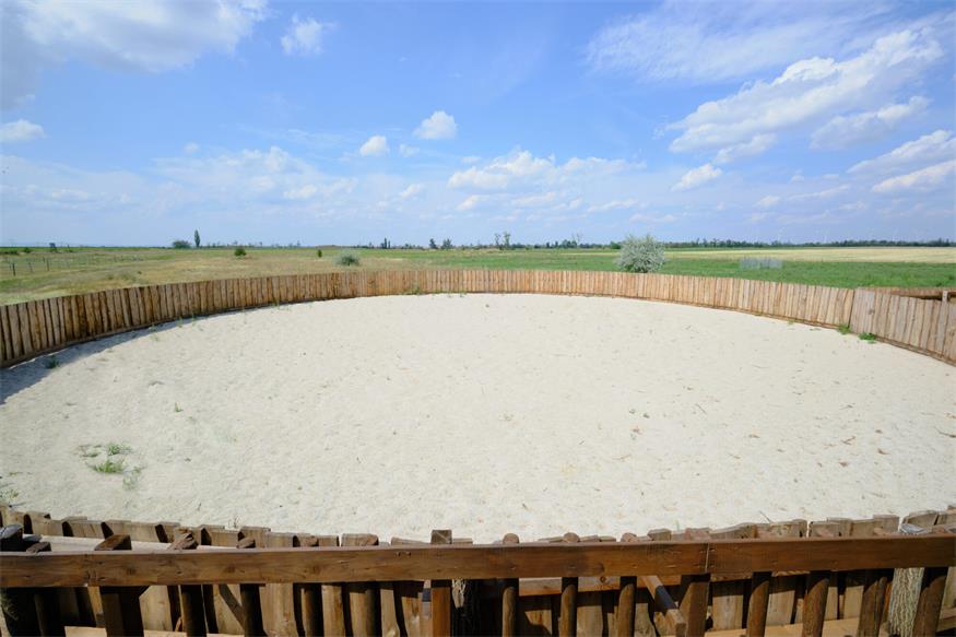 Reiterhof Romy: Sich einmal wie ein Cowboy fühlen
