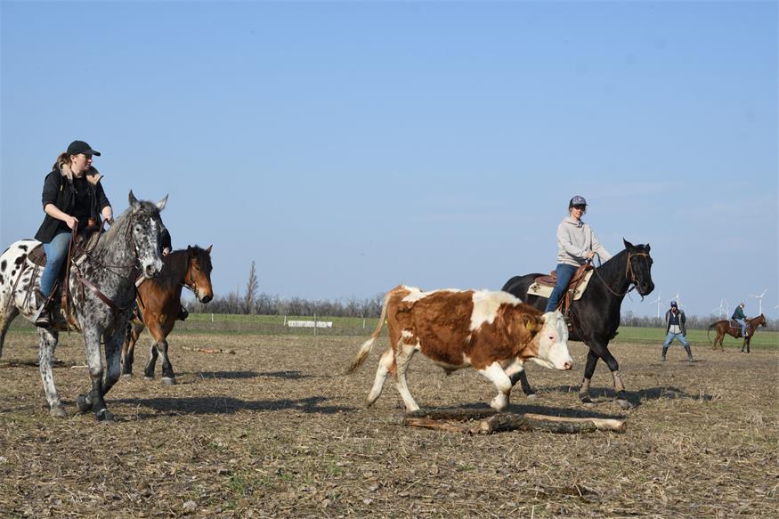 Reiterhof Romy: Sich einmal wie ein Cowboy fühlen