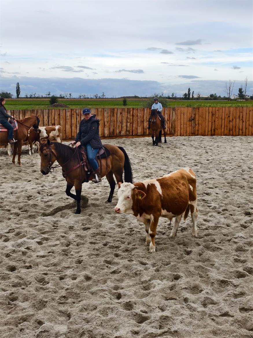 Reiterhof Romy: Sich einmal wie ein Cowboy fühlen