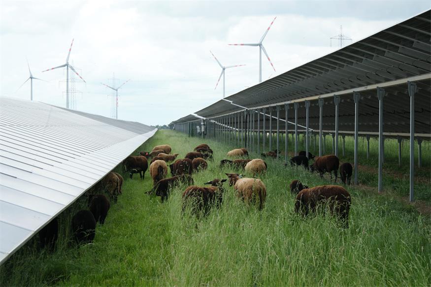 Nickelsdorf: PÜSPÖK eröffnet Europas zweitgrößten Super-Hybrid-Park