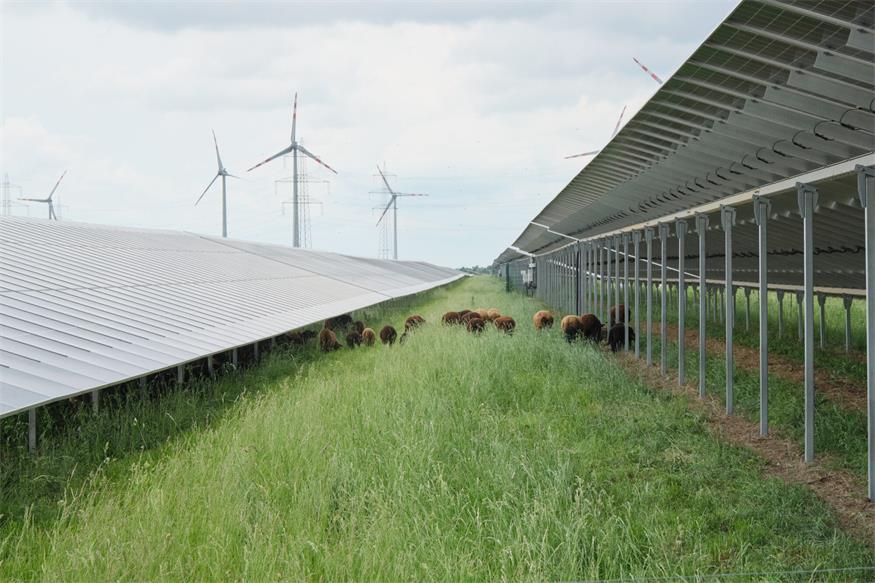Nickelsdorf: PÜSPÖK eröffnet Europas zweitgrößten Super-Hybrid-Park